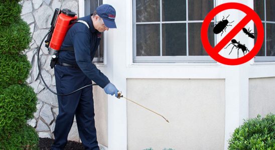 Akşehir Akrep İlaçlama böcek ilaçlama ve haşere kontrolü — ilaclama-tr.com